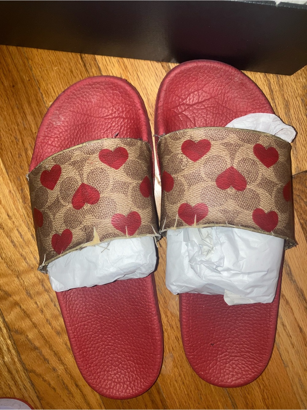 Coach Udele Valentines Slides